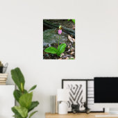 Poster NH Pink Lady Slipper (Cypridedium Acaule) 16x20 (Bureau à domicile)