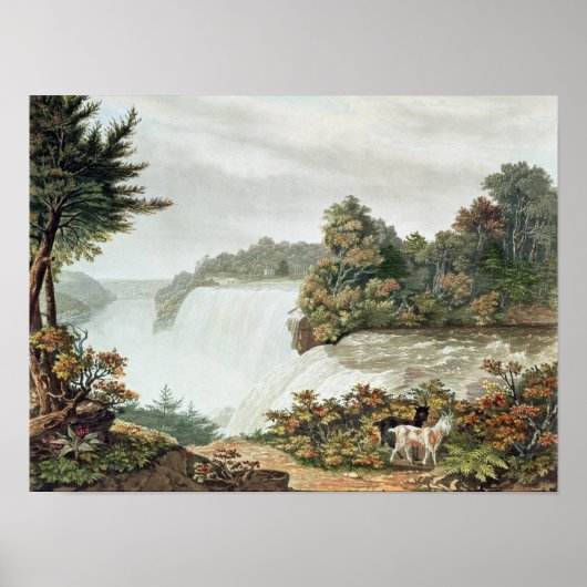 Poster Niagara Falls, de l'île de Goat (Devant)
