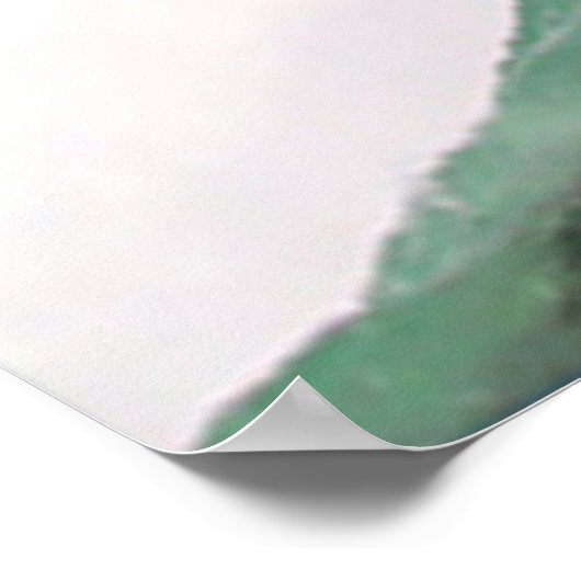 Poster Niagara Falls New York (Coin)