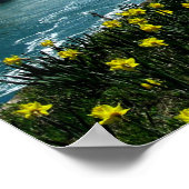 Poster Niagara Falls, photo Pittoresque, (Coin)