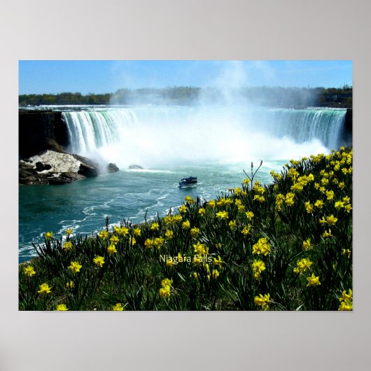 Poster Niagara Falls, photo Pittoresque, (Devant)
