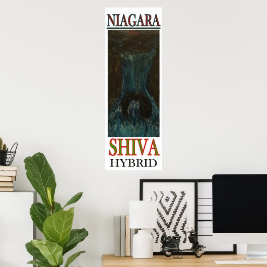 POSTER NIAGARA SHIVA HYBRID (Bureau à domicile)