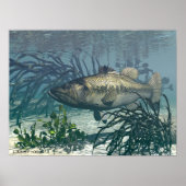 Poster Nice Catch (Devant)