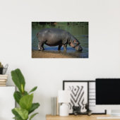 Poster Nice Long Boisson Hippopotamus Portrait (Bureau à domicile)
