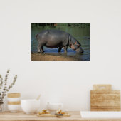 Poster Nice Long Boisson Hippopotamus Portrait (Cuisine)