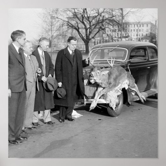 Poster Nice Rack, 1938 (Devant)
