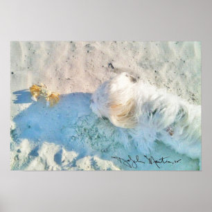 Poster Nicholas et ami