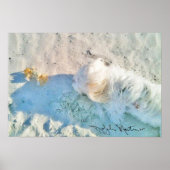 Poster Nicholas & Friend (Devant)