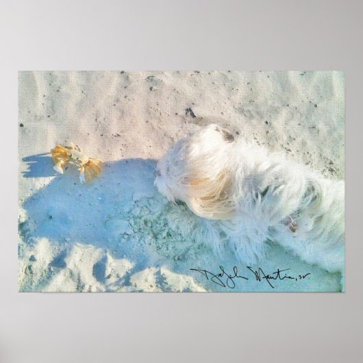 Poster Nicholas & Friend (Devant)