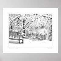 Nichols Arboretum #4