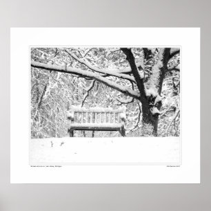 Poster Nichols Arboretum #5