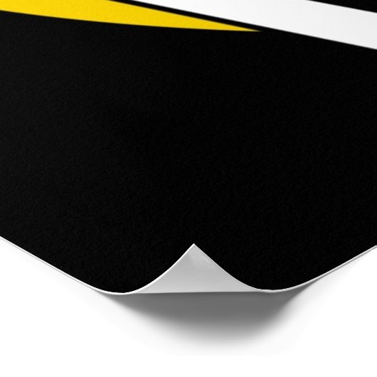 Poster Nick à Nite (Coin)