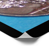 POSTER NICKLE BUFFALO (Coin)