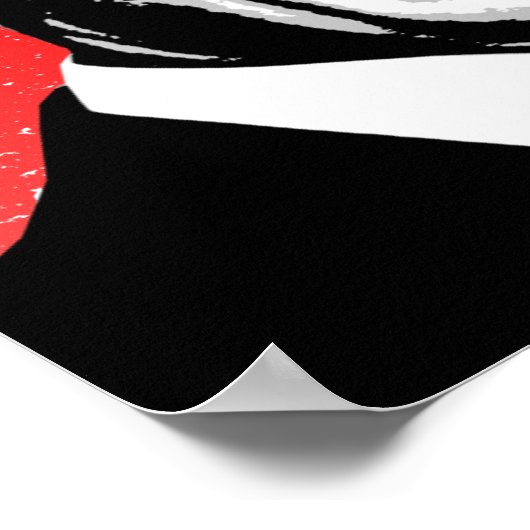 Poster Nicolas Sarkozy (Coin)