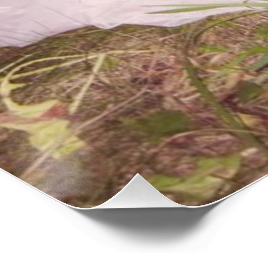 Poster Nicole Dollanganger (Coin)