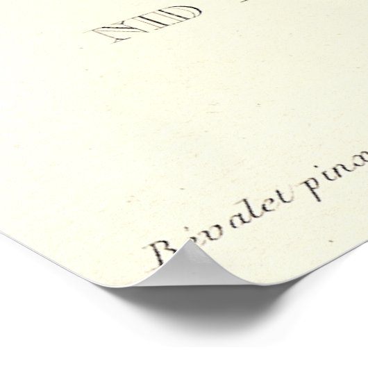 Poster Nid adorable de colibris crêponnés - Joli! (Coin)