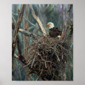 Poster Nid d'aigle chauve Art de bois (Devant)