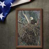 Poster Nid d'aigle chauve Art de bois