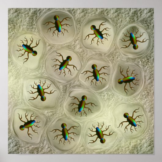Poster Nid de bugs étranges (Devant)