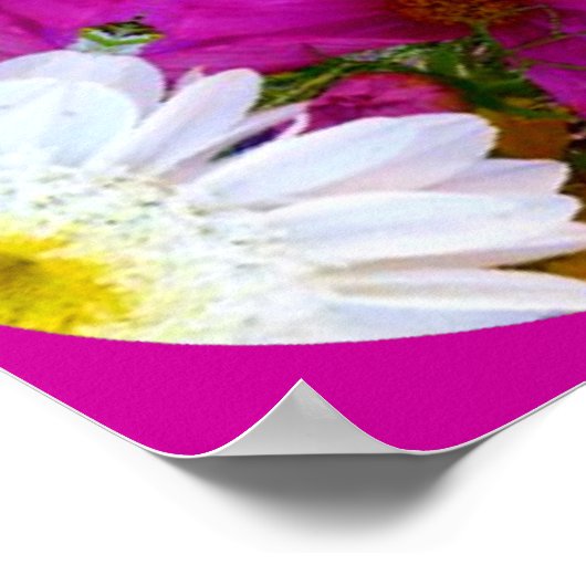 Poster Nid de colombe et fleurs (Coin)