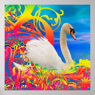 Poster Nid de cygne