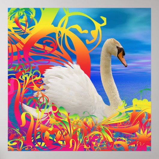 Poster Nid de cygne (Devant)