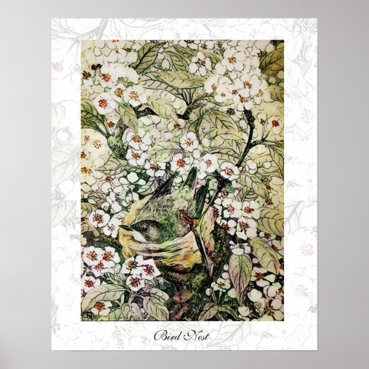 Poster NID D'OISEAU, blanc marron vert jaune (Devant)