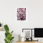 Poster NID D'OISEAU, blanc rouge rose violet (Bureau à domicile)