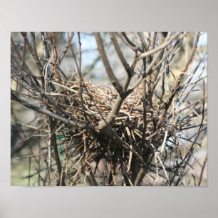 Poster Nid d'oiseaux abandonné