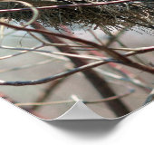 Poster Nid D'Oiseaux Abandonné Au Printemps (Coin)