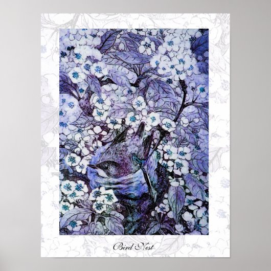 Poster NID OISEAU, bleu blanc (Devant)