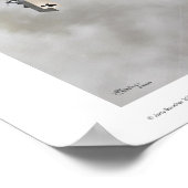 Poster Nieuport Nie.17 (Coin)