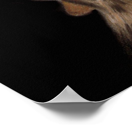 Poster Night Howts (Coin)