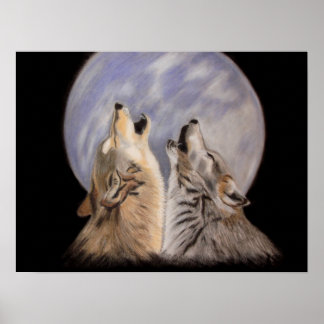 Poster Night Howts