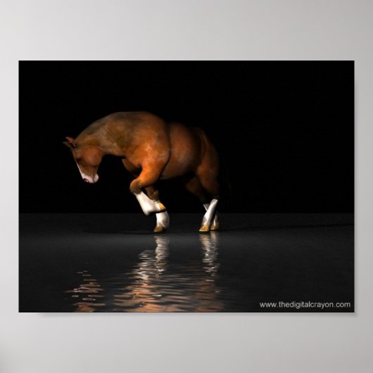 Poster Night Mare (Devant)