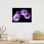 Poster NightBloom (Cuisine)