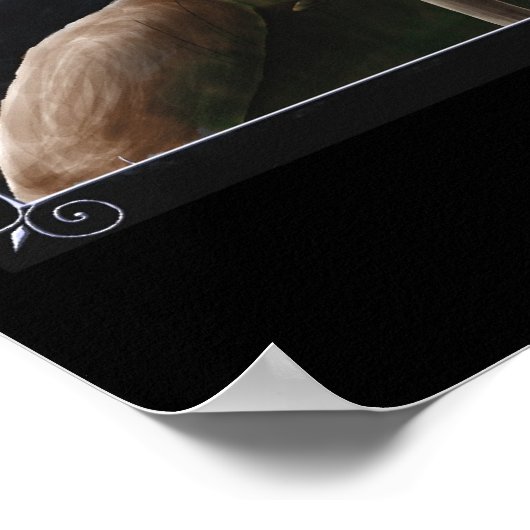 Poster NightFall (Coin)