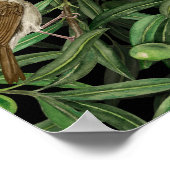 Poster Nightingales dans l'olivier 3 (Coin)