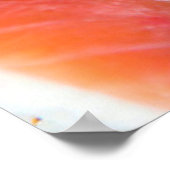 Poster Nigiri et Maki (Coin)