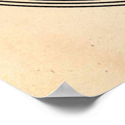 Poster Nikola Tesla (Coin)