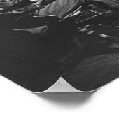 Poster Nikola Tesla (Coin)