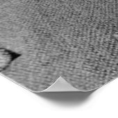 Poster Nikola Tesla Portrait (Coin)