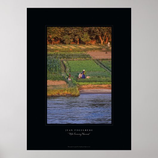 Poster "Nile Evening Harvest" (Devant)