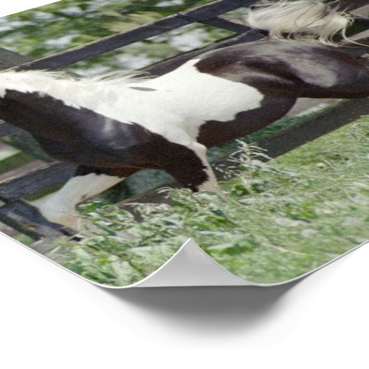 Poster Nite de la renommée (Coin)