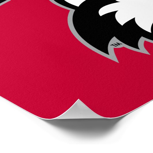 Poster NIU Huskies Papa (Coin)