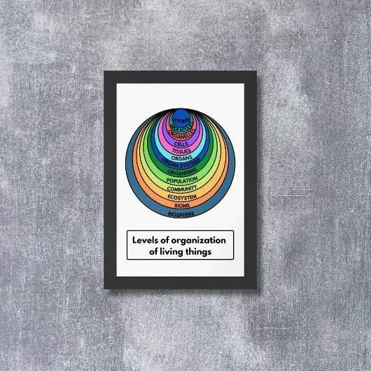 Poster Niveaux d'organisation des êtres vivants