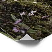 Poster No 1444 Queen St E 2 Version couleur (Coin)