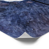 Poster No 35 | Anna Cassel | (Coin)