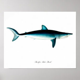 Poster No. 4 d'impression d'art d'affiche de requin de