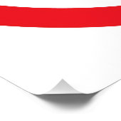 Poster NO Repugs (Coin)